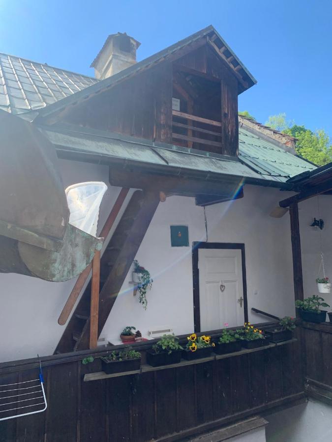 Loft Natalya Gold Cesky Krumlov Exterior foto